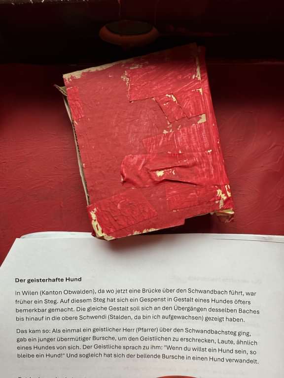 Stories Degersheim Dergeisterhafte Hund